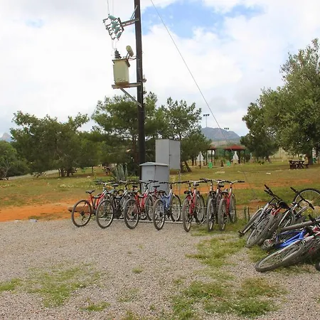 The Pine View Forest Houses & Restaurant & Pool בית נופש Komi Kebir