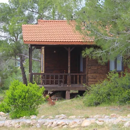 בית נופש The Pine View Forest Houses & Restaurant & Pool *