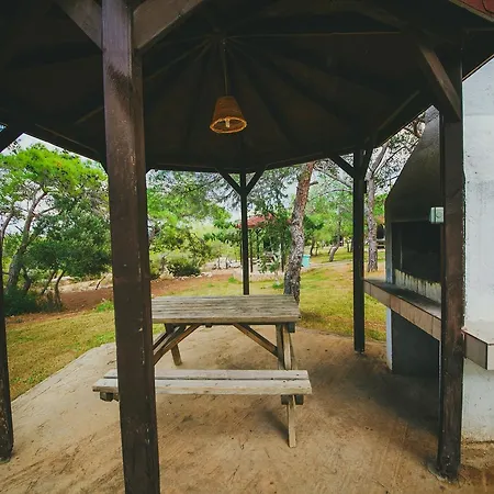 בית נופש The Pine View Forest Houses & Restaurant & Pool