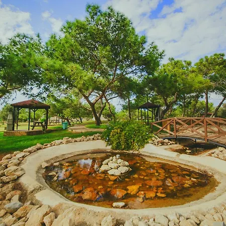 The Pine View Forest Houses & Restaurant & Pool * Komi Kebir