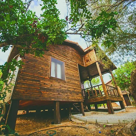 The Pine View Forest Houses & Restaurant & Pool בית נופש Komi Kebir
