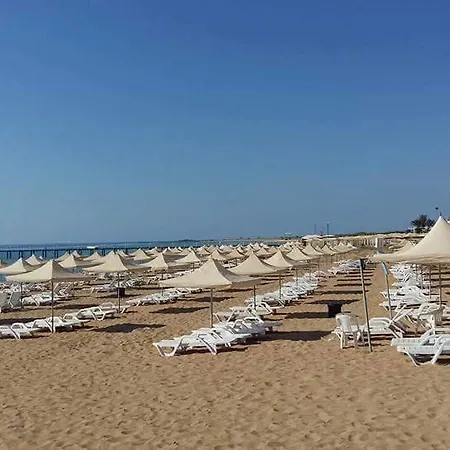 The Pine View Forest Houses & Restaurant & Pool Komi Kebir