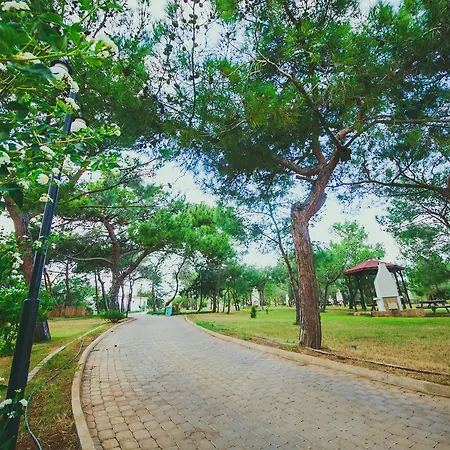 The Pine View Forest Houses & Restaurant & Pool Holiday home Komi Kebir