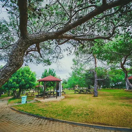 The Pine View Forest Houses & Restaurant & Pool