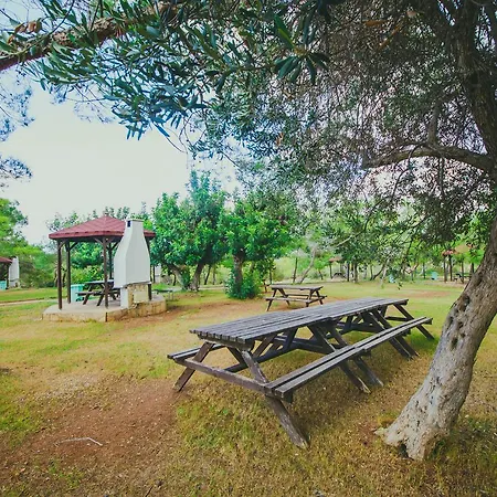 Hébergement de vacances The Pine View Forest Houses & Restaurant & Pool *