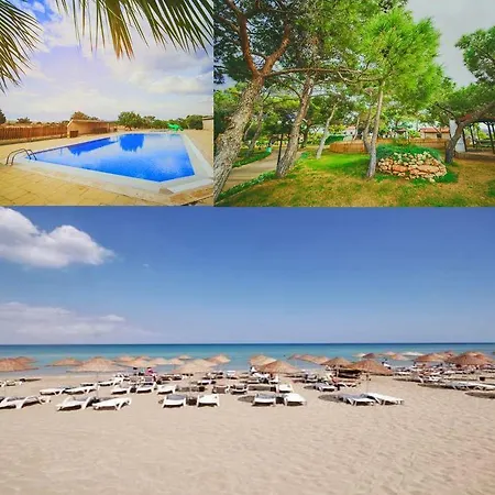 The Pine View Forest Houses & Restaurant & Pool Holiday home